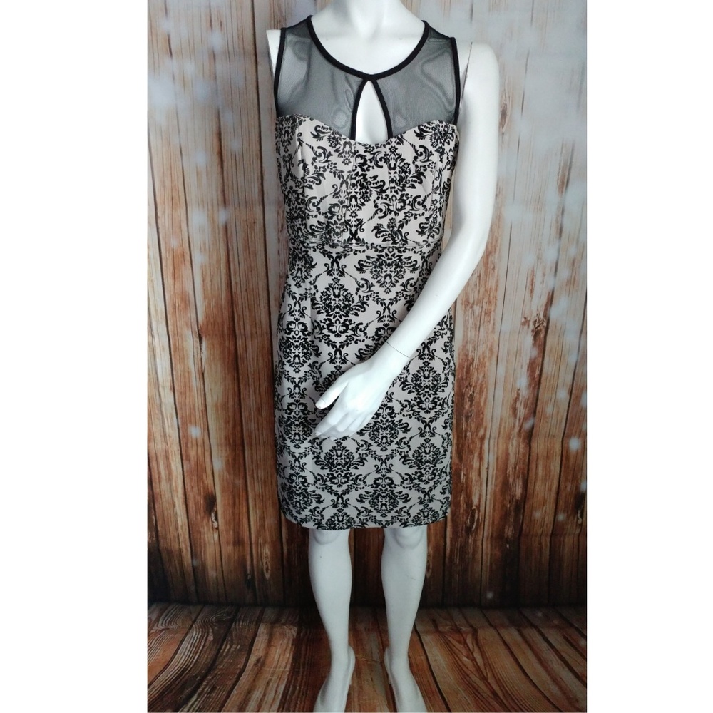 Juniors Tan and Black Velvet Dress